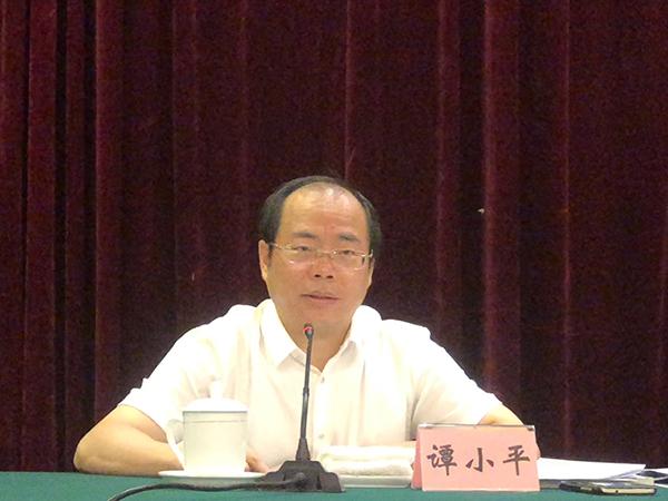 长沙市委常委、市委统战部部长谭小平在座谈会上讲话。